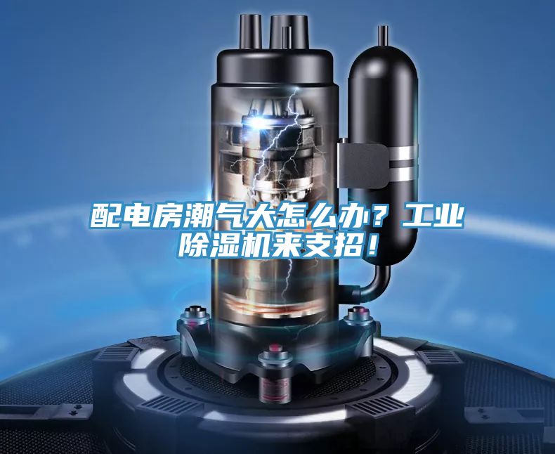 配電房潮氣大怎么辦？工業(yè)除濕機(jī)來支招！