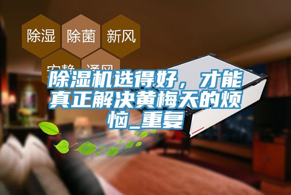 除濕機(jī)選得好，才能真正解決黃梅天的煩惱_重復(fù)