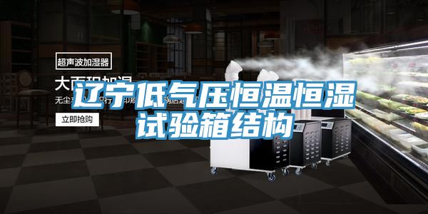 遼寧低氣壓恒溫恒濕試驗箱結(jié)構(gòu)