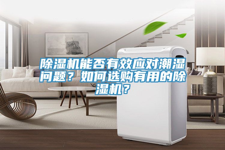 除濕機(jī)能否有效應(yīng)對(duì)潮濕問題？如何選購(gòu)有用的除濕機(jī)？