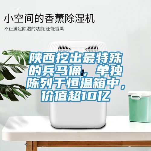 陜西挖出最特殊的兵馬俑，單獨(dú)陳列于恒溫箱中，價(jià)值超10億