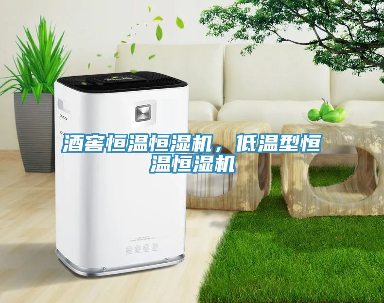 酒窖恒溫恒濕機(jī)，低溫型恒溫恒濕機(jī)