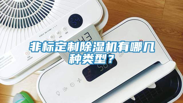 非標(biāo)定制除濕機(jī)有哪幾種類型？