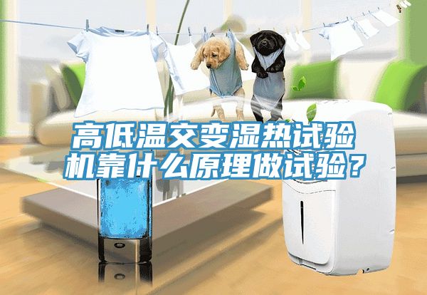 高低溫交變濕熱試驗(yàn)機(jī)靠什么原理做試驗(yàn)？