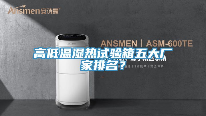 高低溫濕熱試驗箱五大廠家排名？