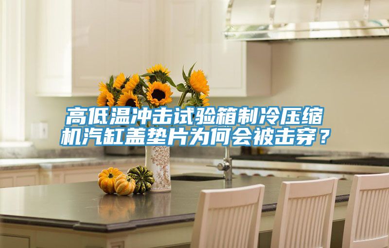 高低溫沖擊試驗(yàn)箱制冷壓縮機(jī)汽缸蓋墊片為何會(huì)被擊穿？