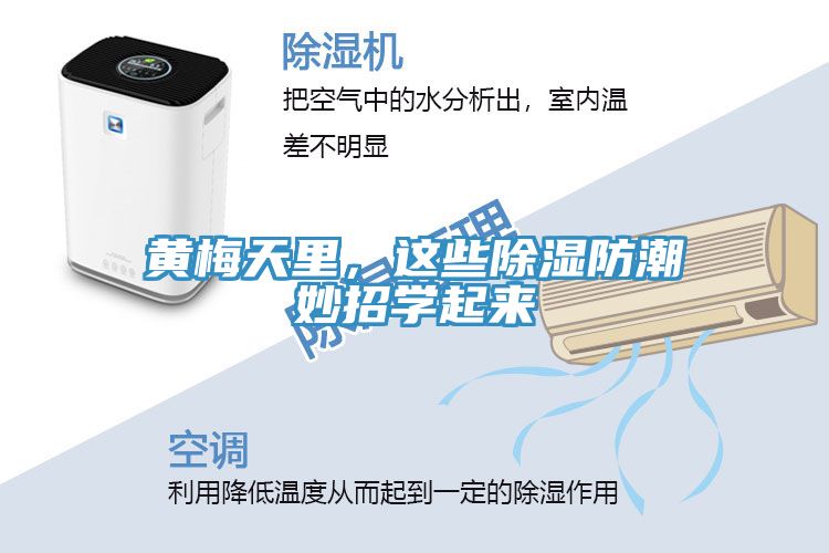 黃梅天里，這些除濕防潮妙招學(xué)起來