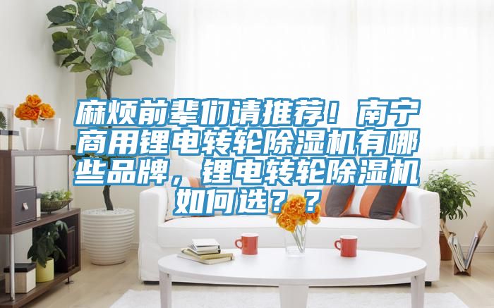 麻煩前輩們請推薦！南寧商用鋰電轉(zhuǎn)輪除濕機(jī)有哪些品牌，鋰電轉(zhuǎn)輪除濕機(jī)如何選？？