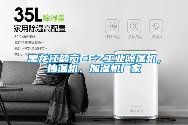 黑龍江鶴崗CFZ工業(yè)除濕機(jī)，抽濕機(jī)、加濕機(jī)廠家
