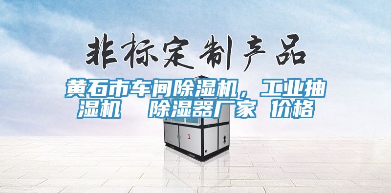 黃石市車間除濕機(jī)，工業(yè)抽濕機(jī)  除濕器廠家 價(jià)格