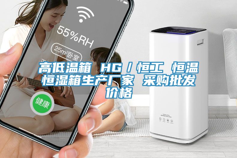 高低溫箱 HG／恒工 恒溫恒濕箱生產(chǎn)廠家 采購批發(fā)價格