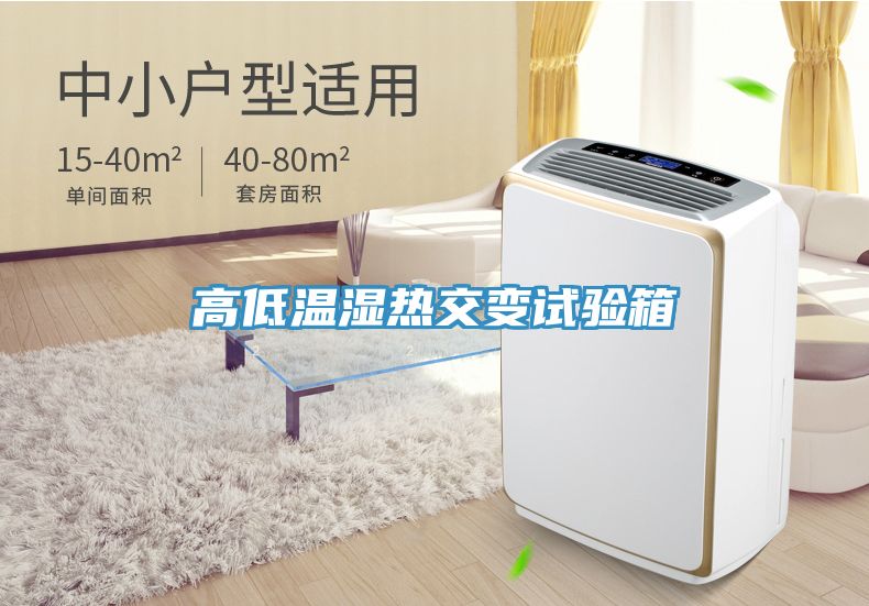 高低溫濕熱交變?cè)囼?yàn)箱
