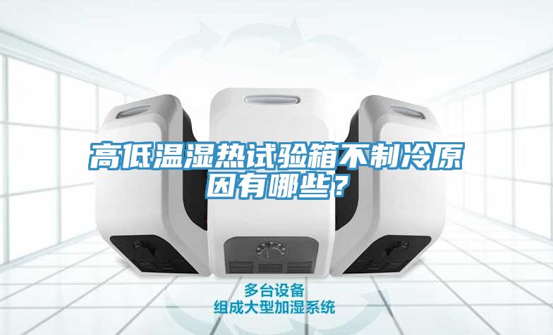 高低溫濕熱試驗箱不制冷原因有哪些？