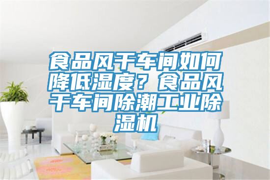食品風(fēng)干車(chē)間如何降低濕度？食品風(fēng)干車(chē)間除潮工業(yè)除濕機(jī)