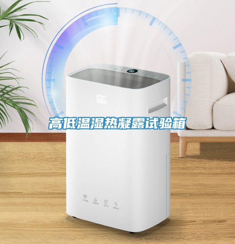 高低溫濕熱凝露試驗(yàn)箱