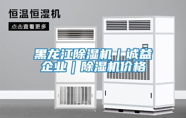 黑龍江除濕機(jī)｜誠益企業(yè)｜除濕機(jī)價(jià)格
