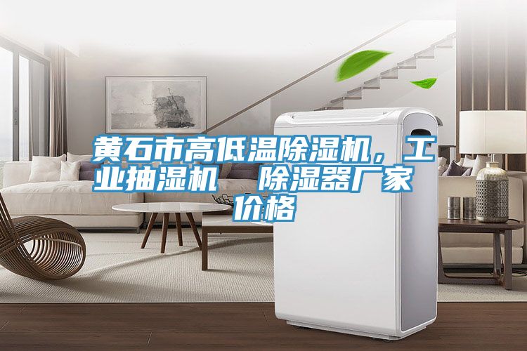 黃石市高低溫除濕機(jī)，工業(yè)抽濕機(jī)  除濕器廠家 價(jià)格
