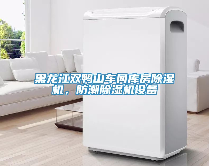 黑龍江雙鴨山車間庫房除濕機，防潮除濕機設備