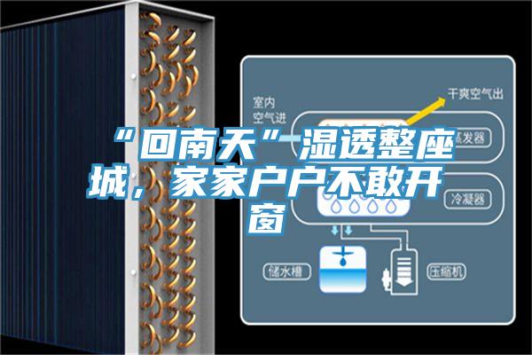 “回南天”濕透整座城，家家戶戶不敢開窗
