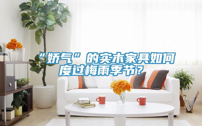 “嬌氣”的實(shí)木家具如何度過(guò)梅雨季節(jié)？