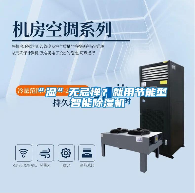 “濕”無忌憚？就用節(jié)能型智能除濕機(jī)