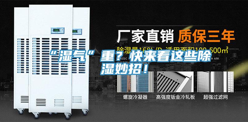 “濕氣”重？快來看這些除濕妙招！