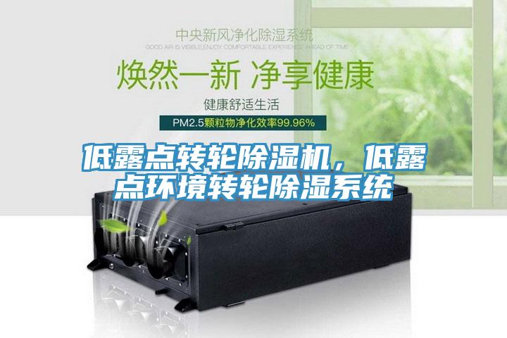 低露點(diǎn)轉(zhuǎn)輪除濕機(jī)，低露點(diǎn)環(huán)境轉(zhuǎn)輪除濕系統(tǒng)
