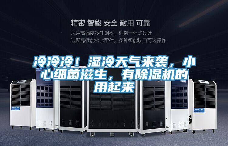冷冷冷！濕冷天氣來襲，小心細菌滋生，有除濕機的用起來