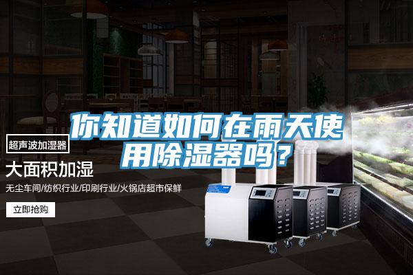 你知道如何在雨天使用除濕器嗎？