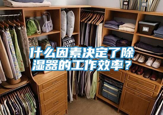 什么因素決定了除濕器的工作效率？