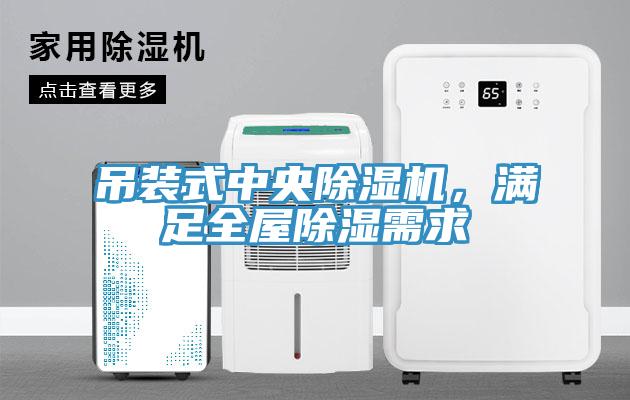 吊裝式中央除濕機(jī)，滿足全屋除濕需求