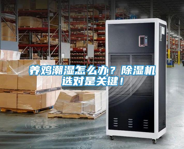 養(yǎng)雞潮濕怎么辦？除濕機(jī)選對是關(guān)鍵！