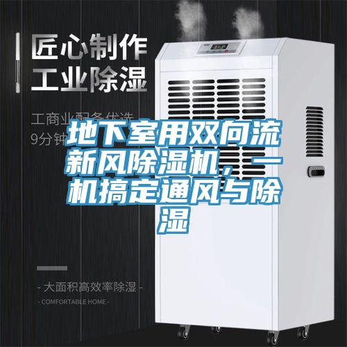 地下室用雙向流新風除濕機，一機搞定通風與除濕
