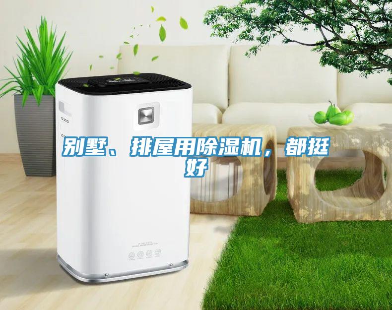別墅、排屋用除濕機(jī)，都挺好