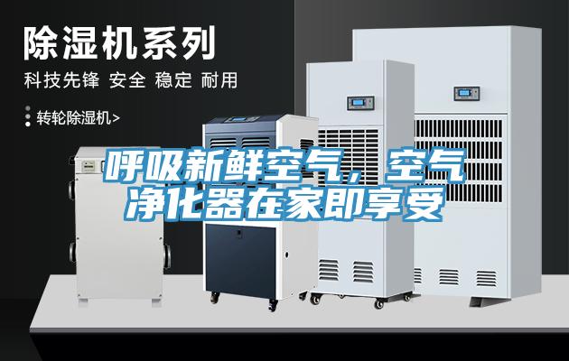呼吸新鮮空氣，空氣凈化器在家即享受