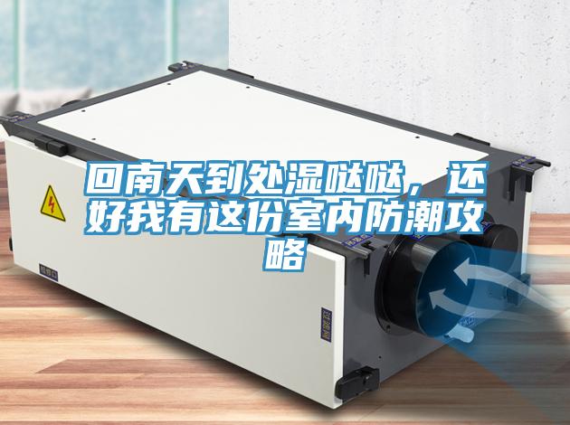 回南天到處濕噠噠，還好我有這份室內(nèi)防潮攻略